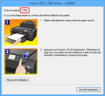 figure : Écran de message d'erreur
